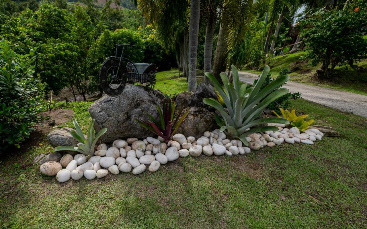 Hacienda Tres Casitas Pensionat Cabo Rojo Eksteriør billede