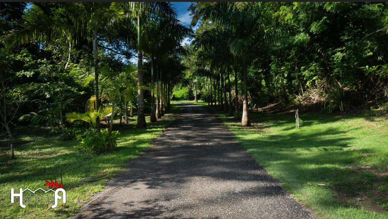 Hacienda Tres Casitas Pensionat Cabo Rojo Eksteriør billede